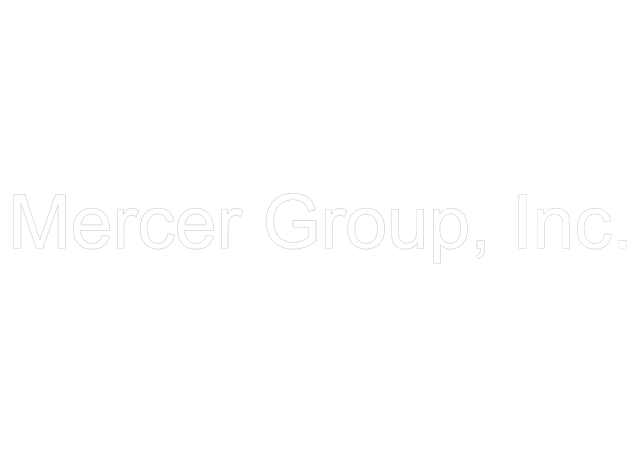 Mercer Group Inc